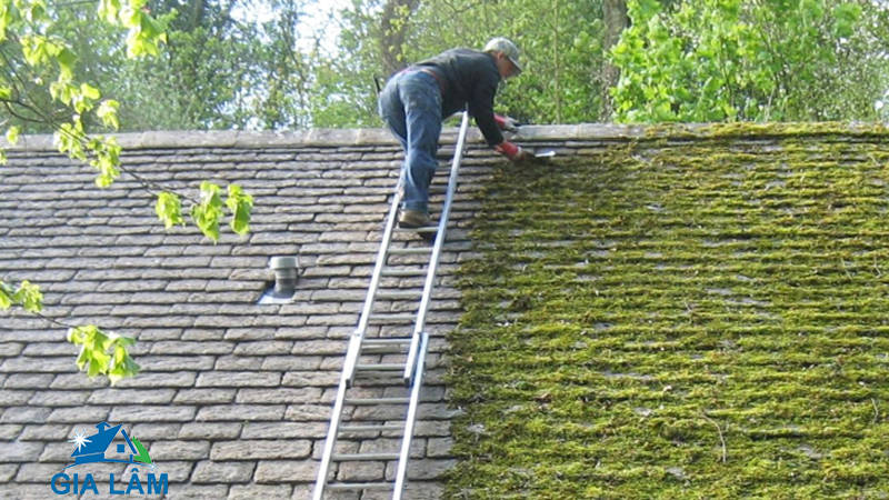 cách tẩy rêu mốc trên mái nhà