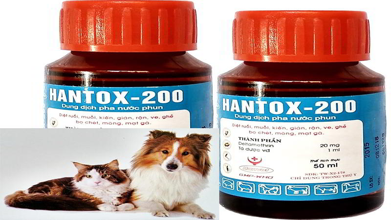 diệt bọ chét bằng thuốc Hantox