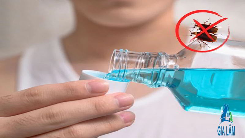 cách diệt dán bang nuoc suc mieng