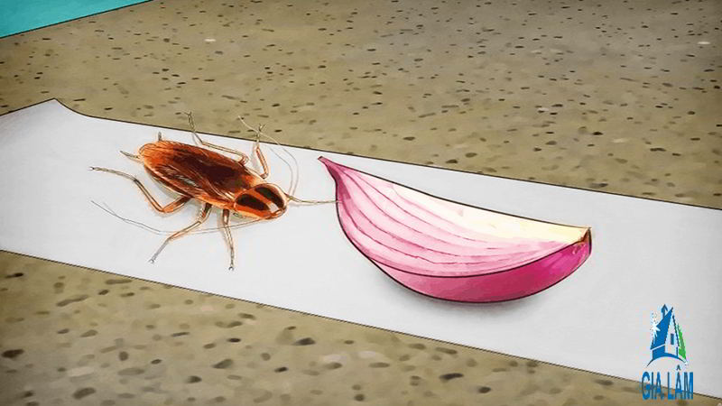 cach duoi dan bang hanh tim va bang dinh